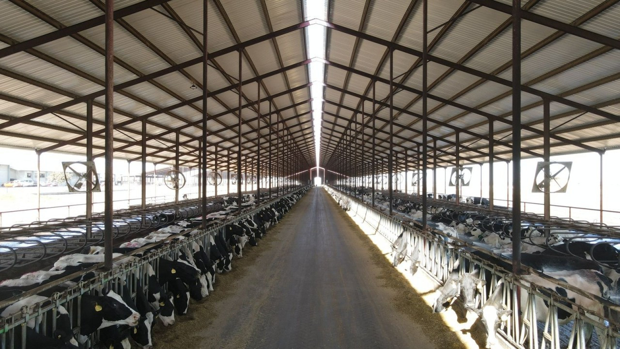 thermoacustic_roofing KLAR